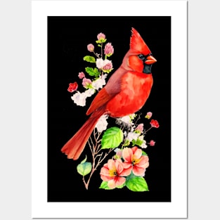 Watercolor Northern Red Cardinal Posters and Art